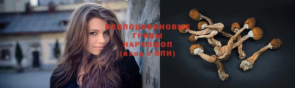 PSILOCYBIN Красноперекопск