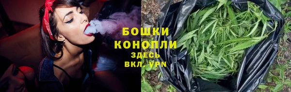 mdpv Костерёво